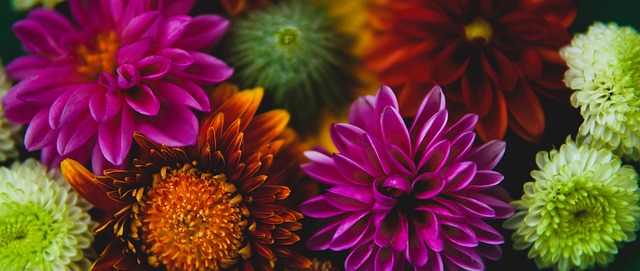 联赛中的莱 联赛中的莱