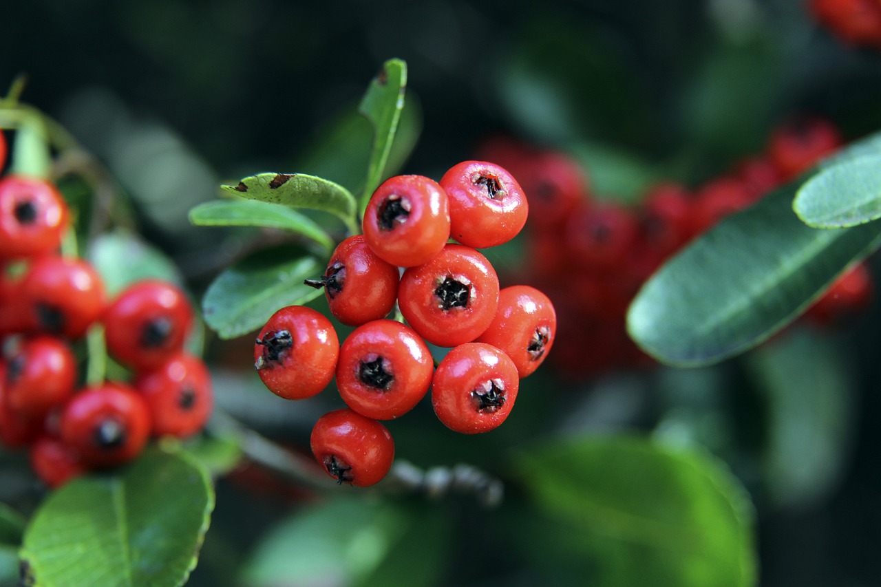 理学知识 理学知识