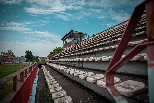 的竞争力 的竞争力