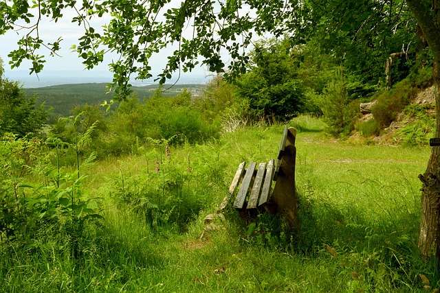 资金的充分 资金的充分