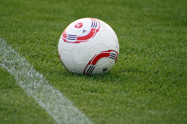 伤病困扰 伤病困扰