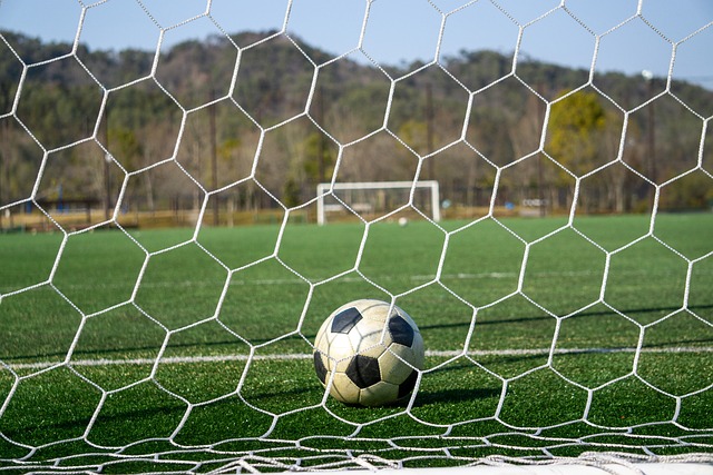 国队伍来增 国队伍来增