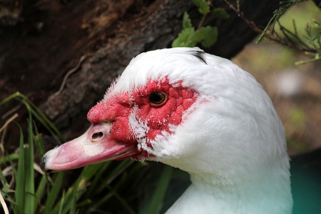 更多配置上 更多配置上