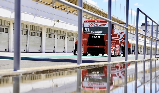 自身狀態 自身狀態